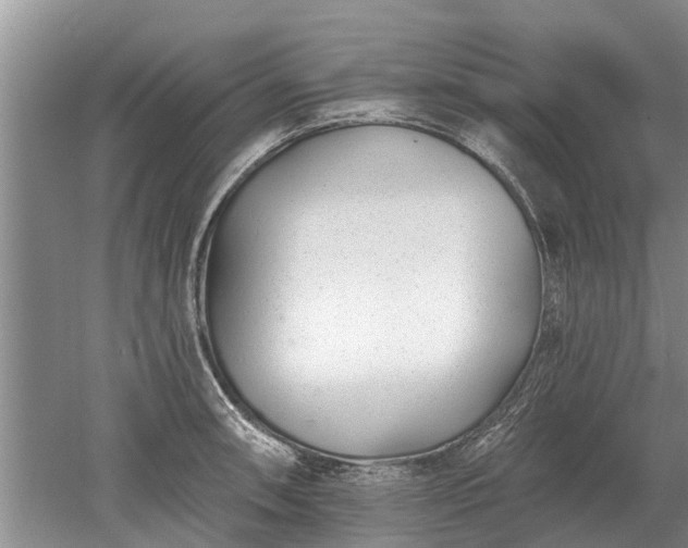 X0000052981090200507151822