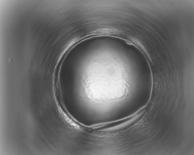 X0000052981091200507151822