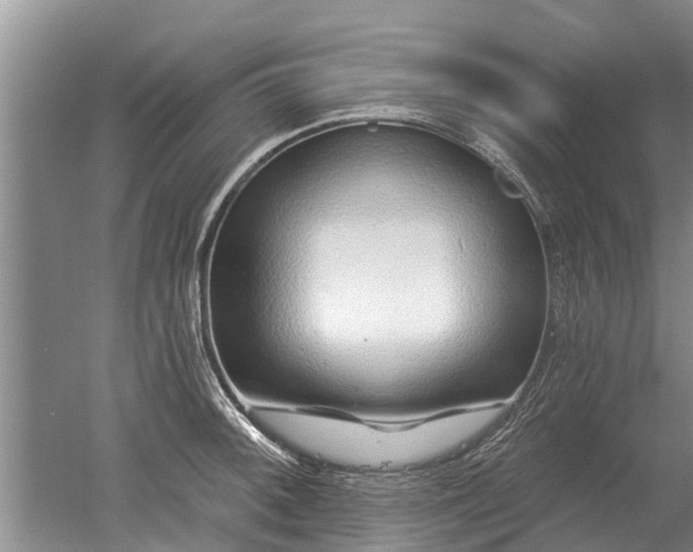 X0000052981092200507151822