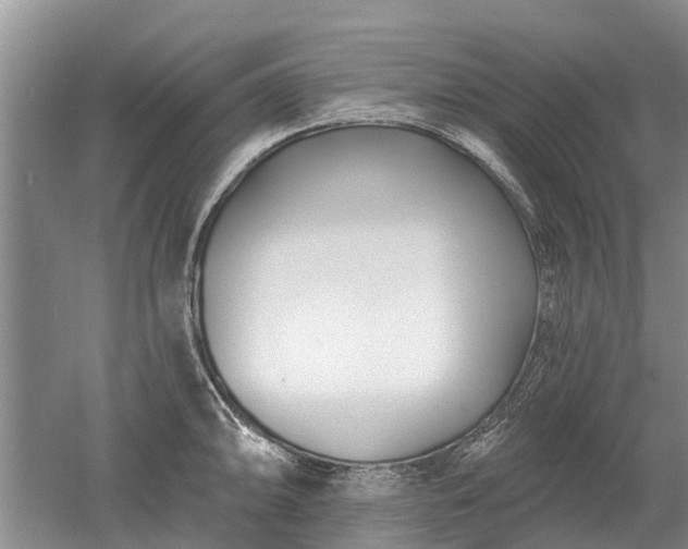 X0000052981094200507151822