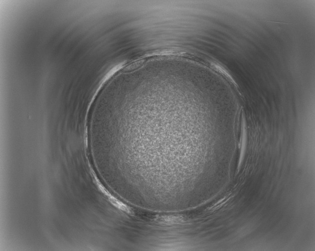 X0000052981095200507151822