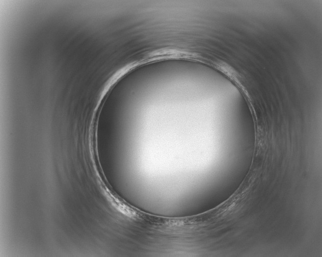 X0000052981098200507151821