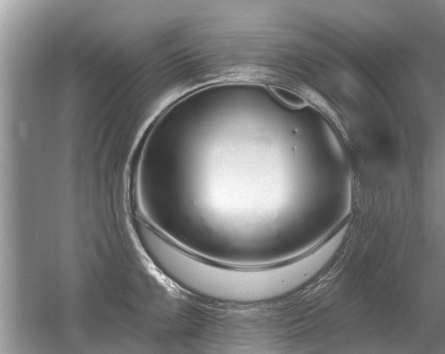 X0000052981099200507151821