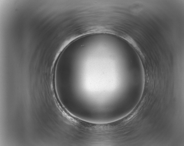 X0000052981102200507151821