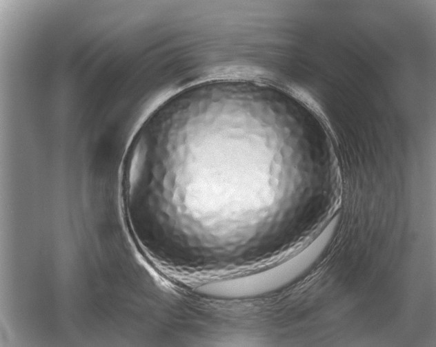 X0000052981103200507151821