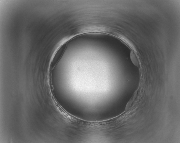 X0000052981104200507151821