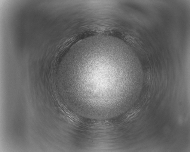 X0000052981105200507151821