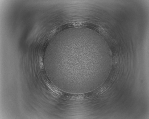 X0000052981106200507151821