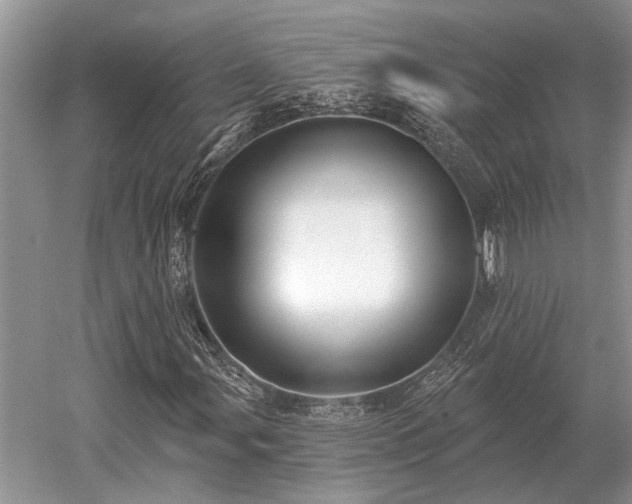 X0000052981107200507151821