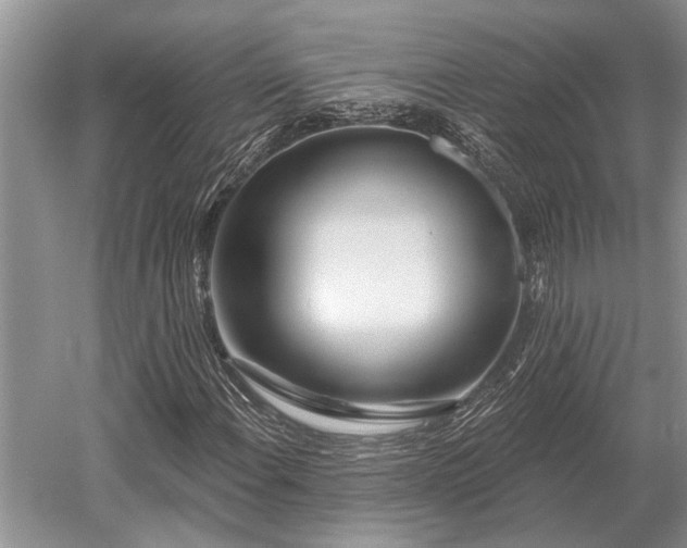 X0000052981108200507151821