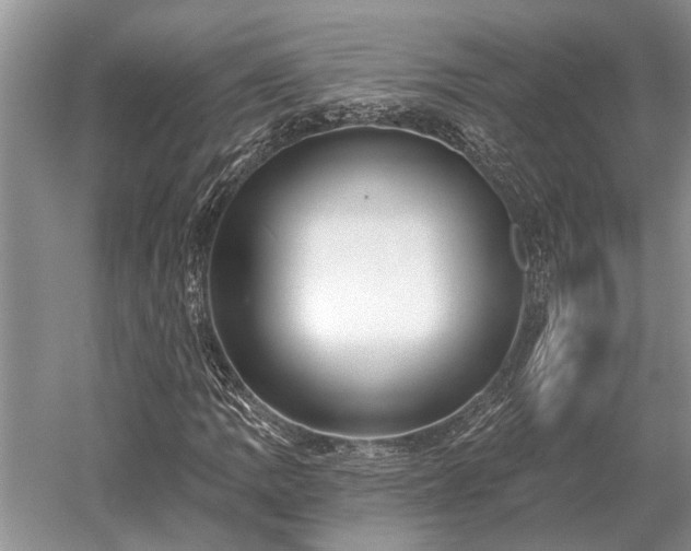 X0000052981109200507151821