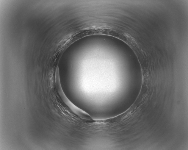 X0000052981110200507151821