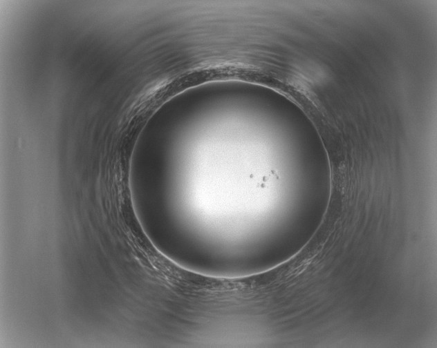 X0000052981111200507151821