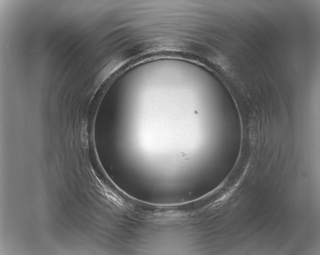 X0000052981113200507151821