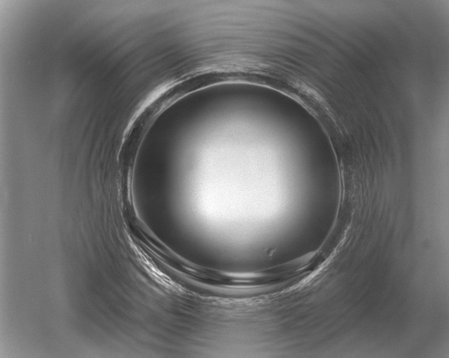 X0000052981114200507151821