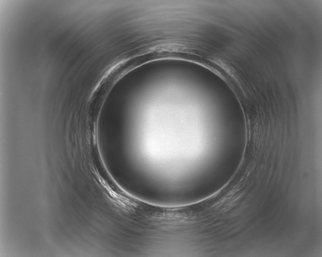 X0000052981115200507151821