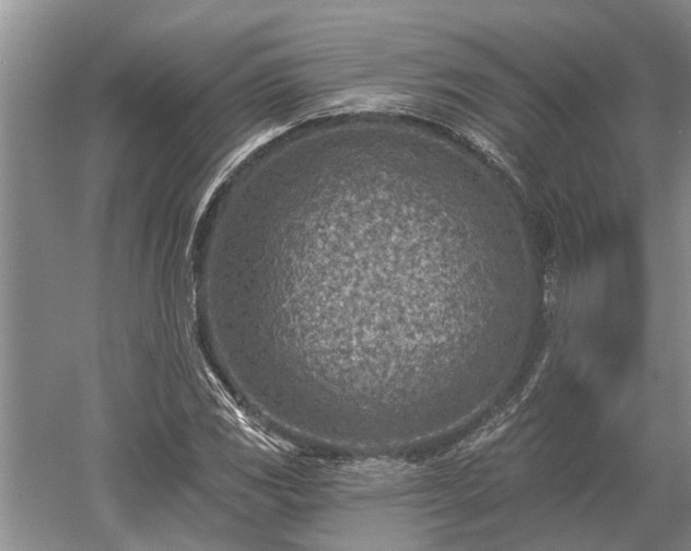 X0000052981117200507151821