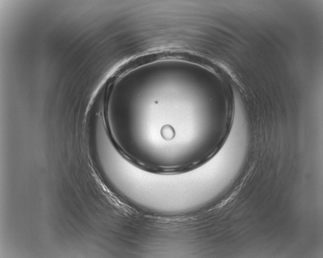 X0000052981118200507151821