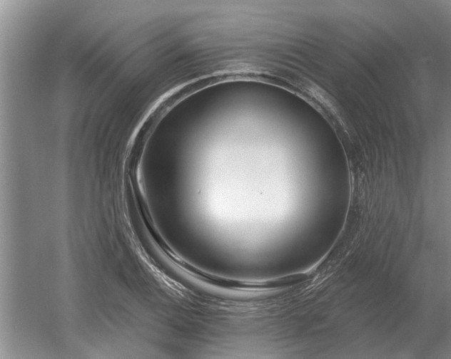 X0000052981124200507151821