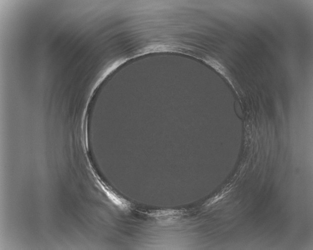 X0000052981127200507151821