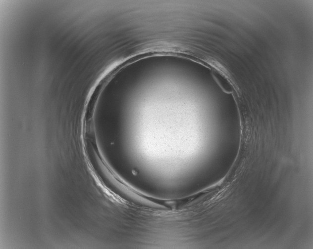 X0000052981128200507151821