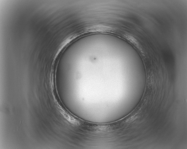 X0000052981130200507151821