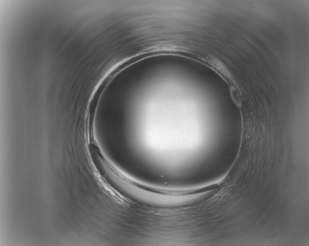 X0000052981132200507151821