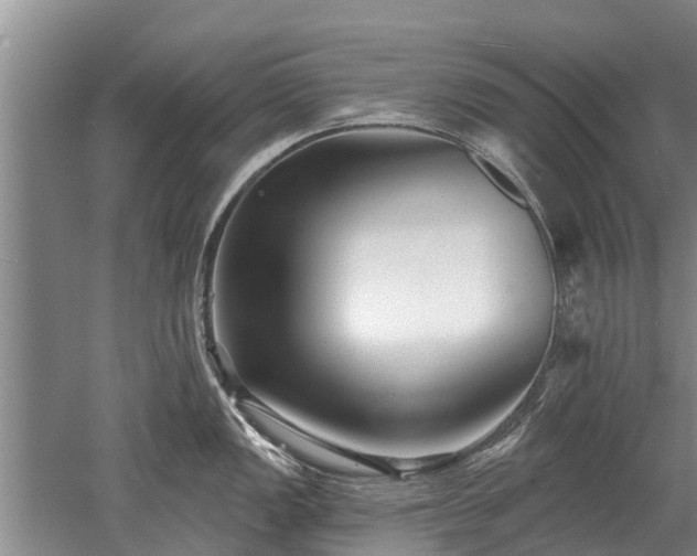 X0000052981149200507151821