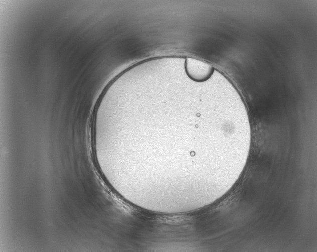 X0000052981150200507151821