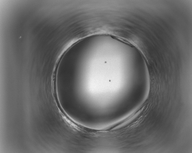 X0000052981151200507151821