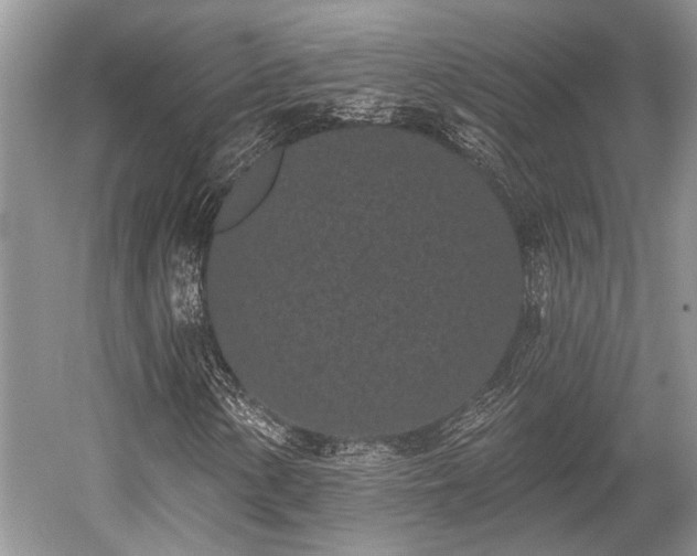 X0000052981154200507151821