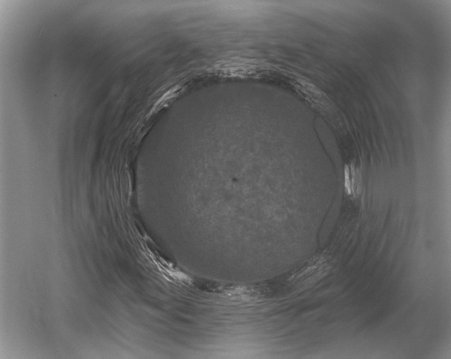 X0000052981155200507151820