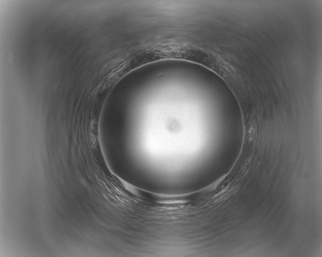 X0000052981156200507151820