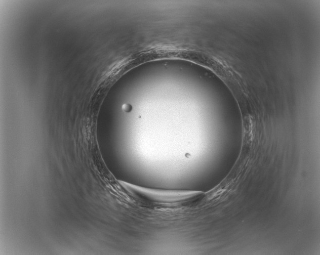 X0000052981157200507151820