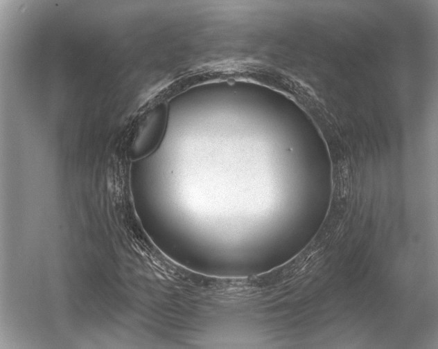 X0000052981158200507151820