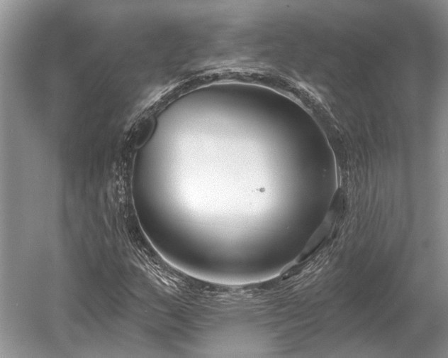 X0000052981159200507151820