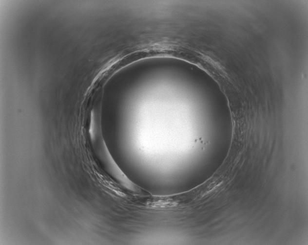 X0000052981160200507151820