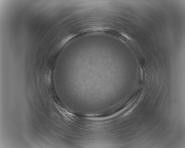 X0000052981161200507151820