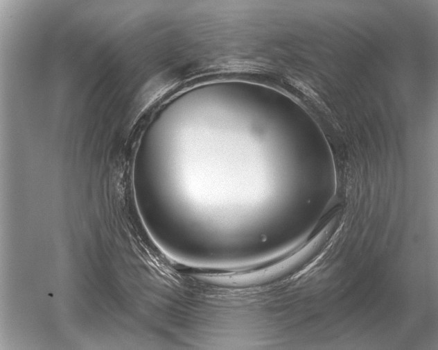 X0000052981163200507151820