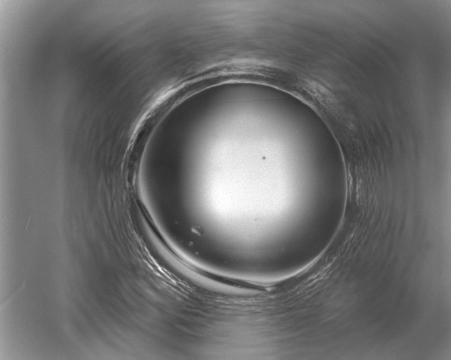 X0000052981164200507151820