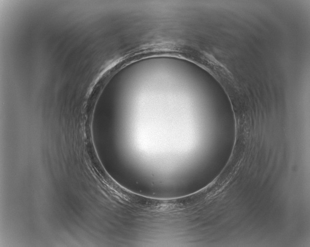 X0000052981166200507151820