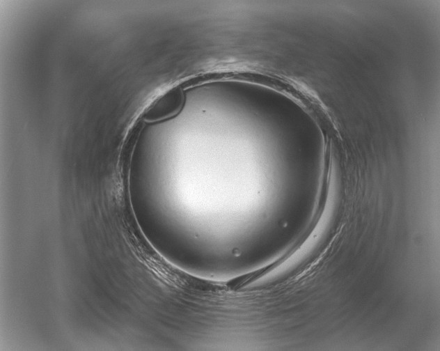 X0000052981167200507151820