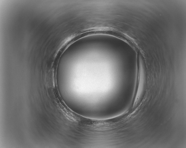 X0000052981171200507151820