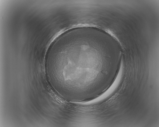 X0000052981173200507151820