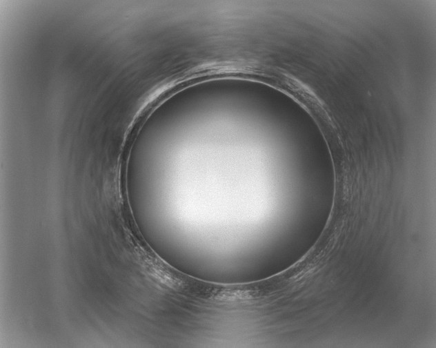 X0000052981174200507151820