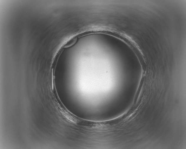 X0000052981175200507151820