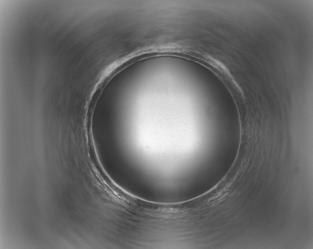 X0000052981176200507151820