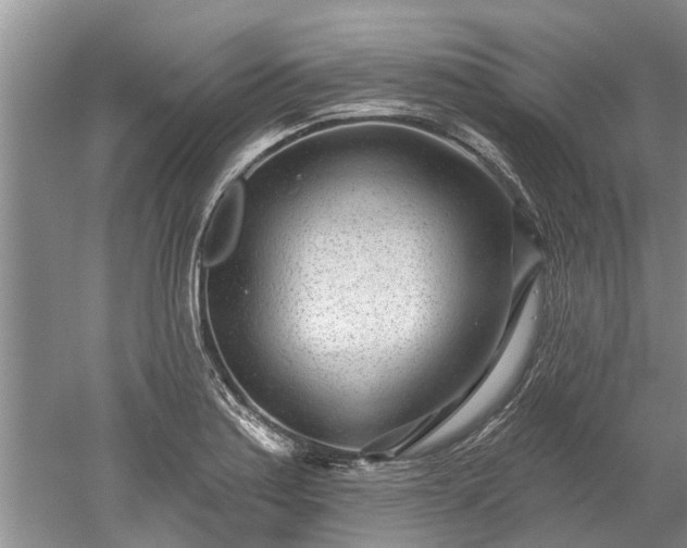 X0000052981179200507151820