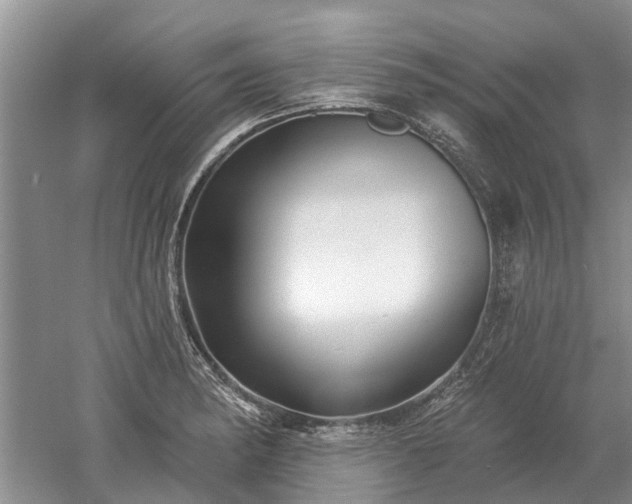 X0000052981182200507151820