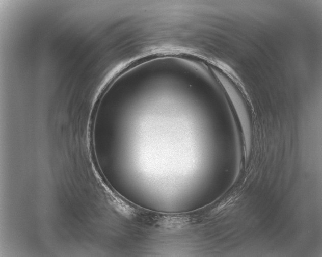 X0000052981183200507151820